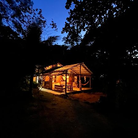 Jungle Lodge イーリャ・グランデ エクステリア 写真