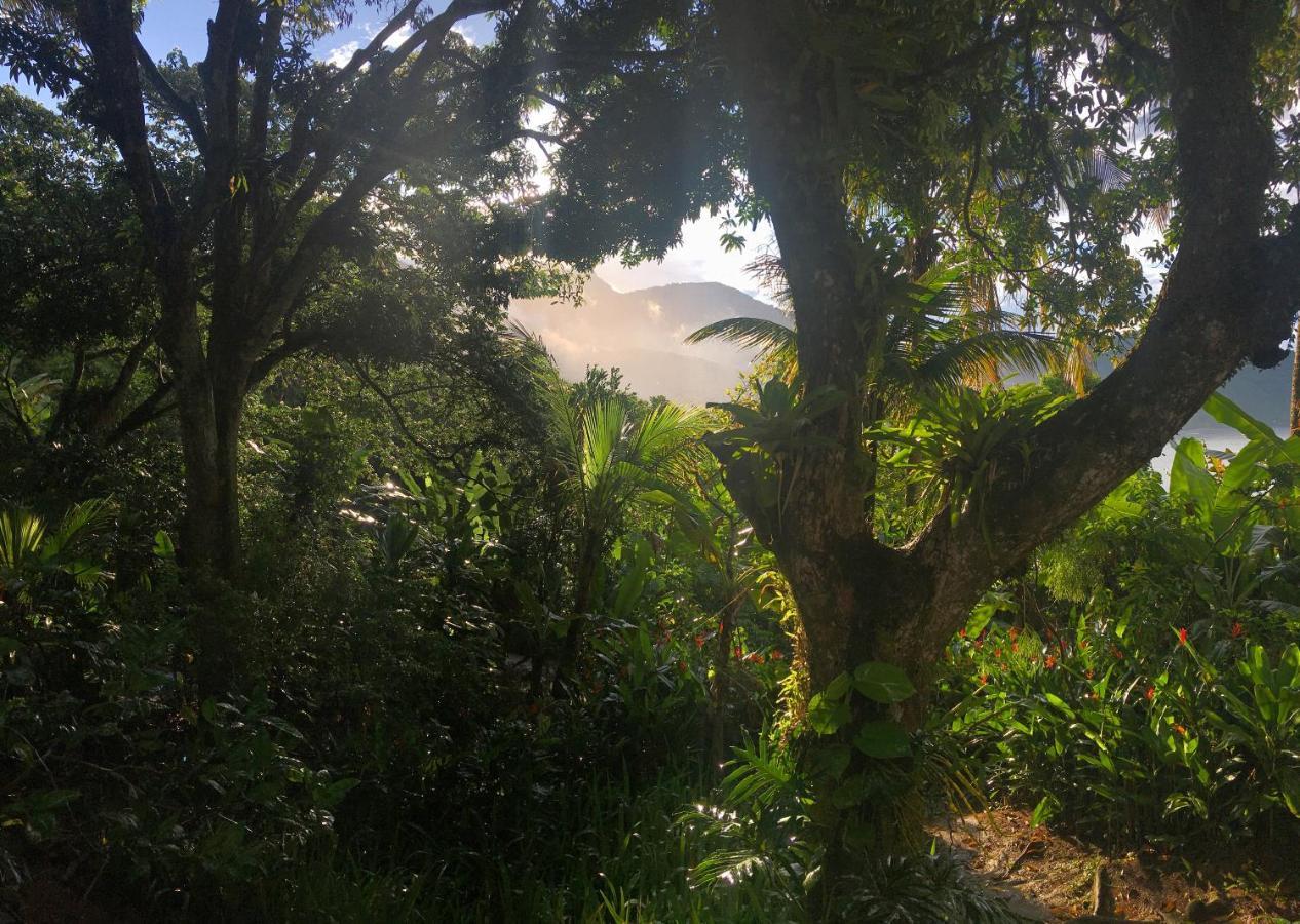 Jungle Lodge イーリャ・グランデ エクステリア 写真