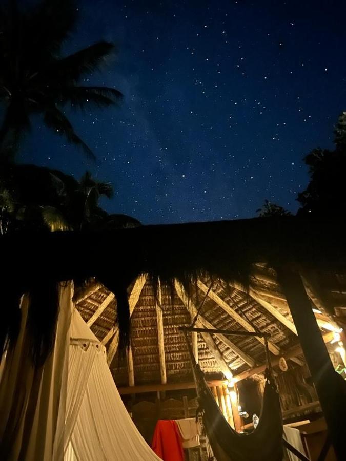 Jungle Lodge イーリャ・グランデ エクステリア 写真