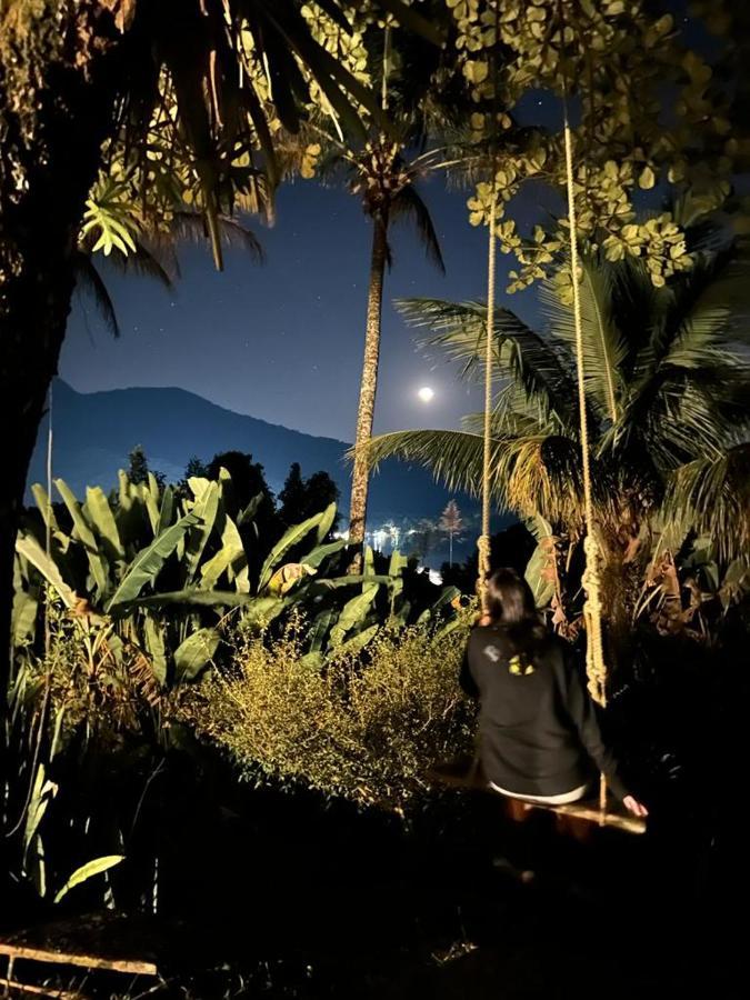 Jungle Lodge イーリャ・グランデ エクステリア 写真