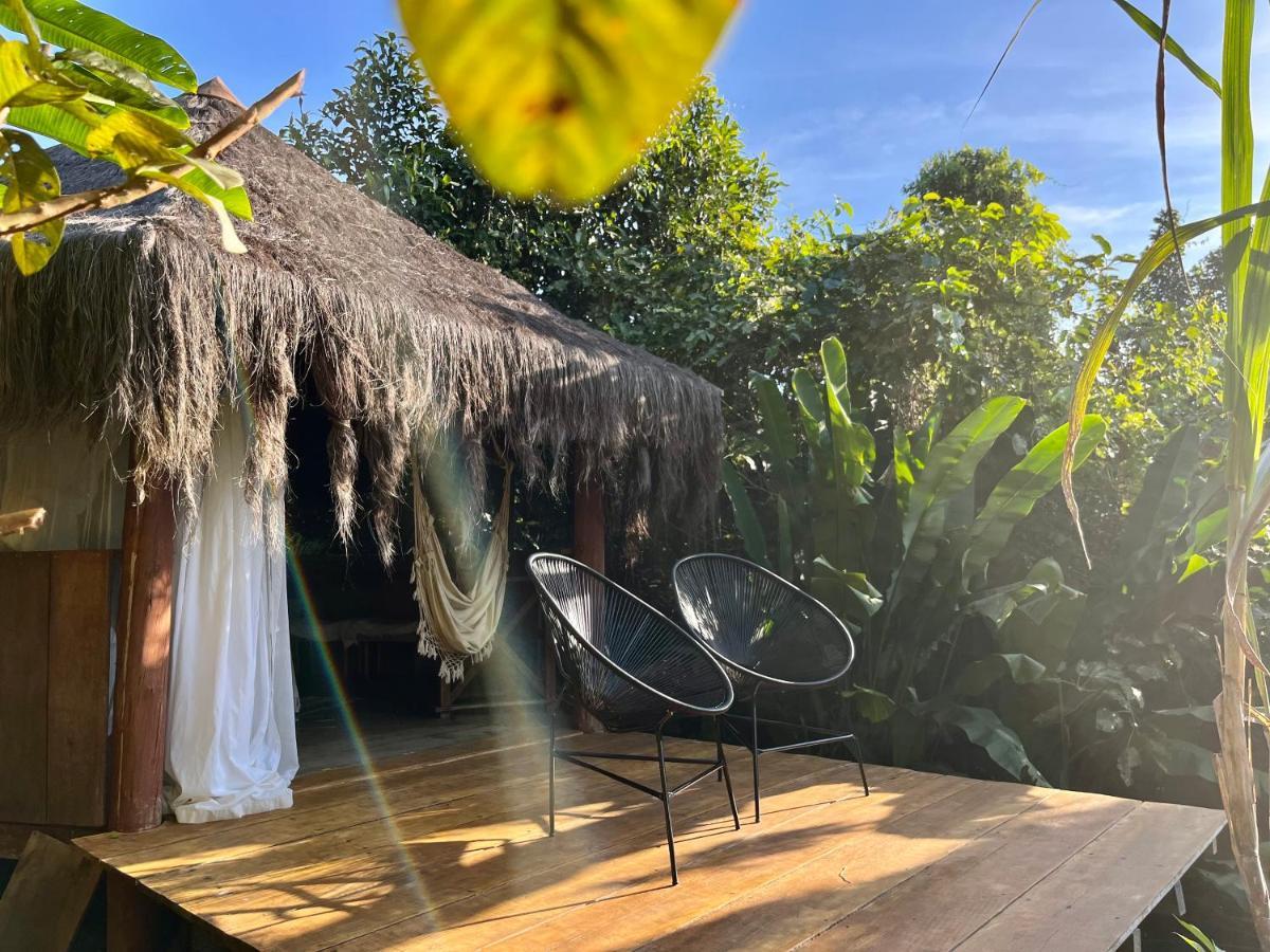 Jungle Lodge イーリャ・グランデ エクステリア 写真