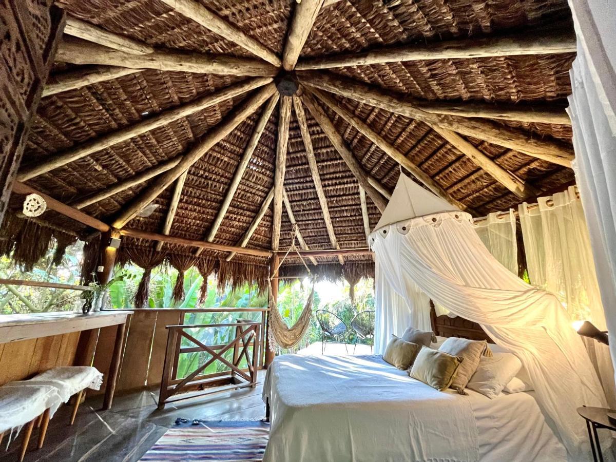 Jungle Lodge イーリャ・グランデ エクステリア 写真