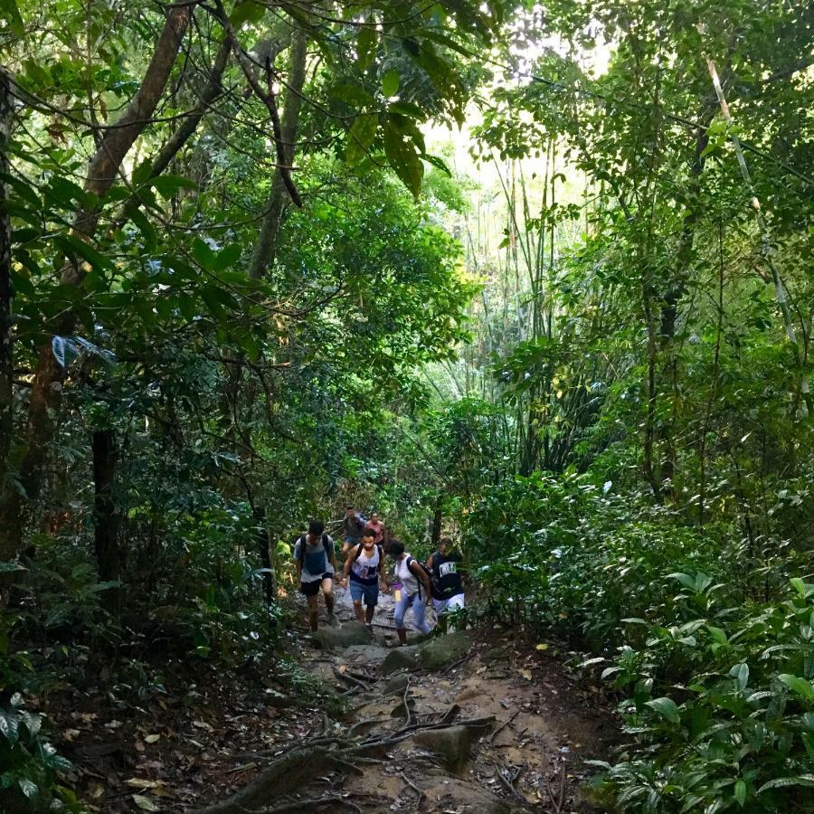 Jungle Lodge イーリャ・グランデ エクステリア 写真