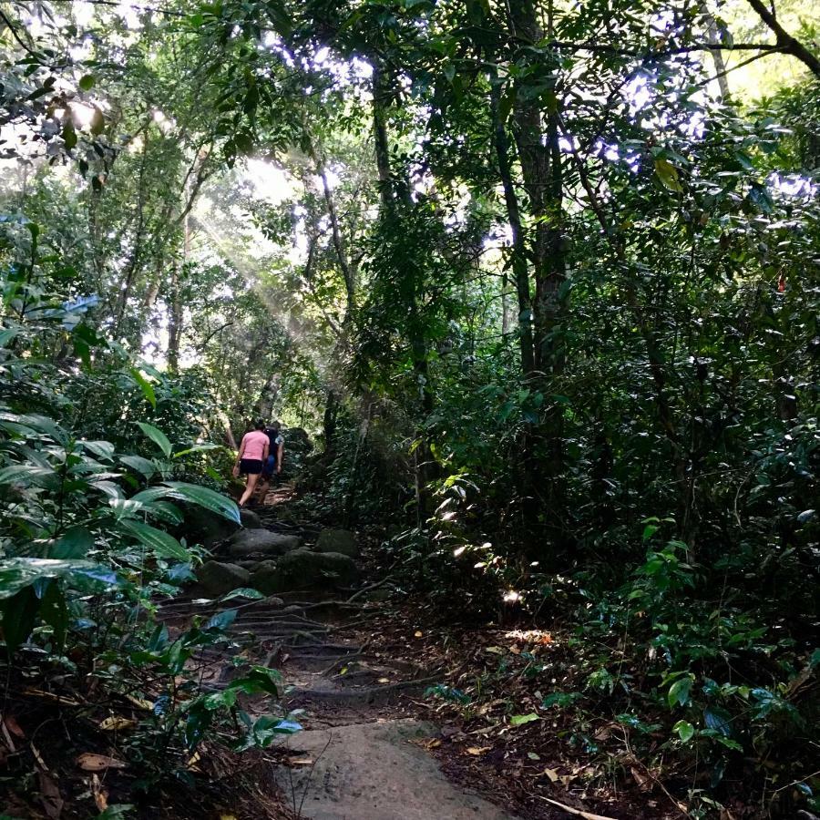 Jungle Lodge イーリャ・グランデ エクステリア 写真